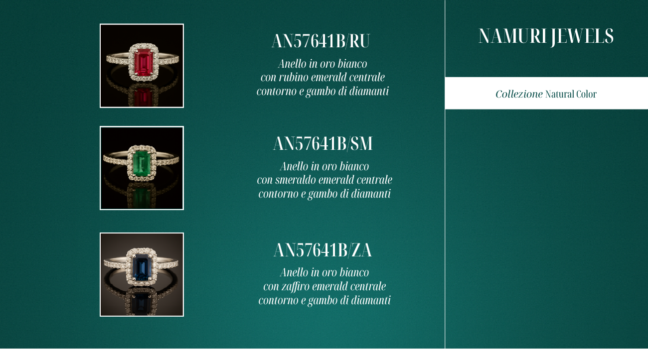 AN57641B/RU, AN57641B/SM, AN57641B/ZA